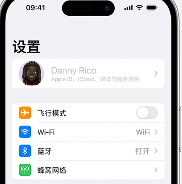 庄河appleID维修服务iPhone设置中Apple ID显示为灰色无法使用 