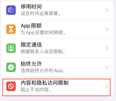 庄河appleID维修服务iPhone设置中Apple ID显示为灰色无法使用