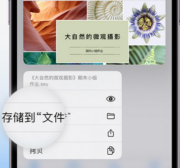 庄河apple维修中心分享iPhone文件应用中存储和找到下载文件