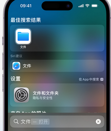 庄河apple维修中心分享iPhone文件应用中存储和找到下载文件 