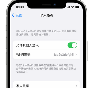 庄河apple服务站点分享iPhone上个人热点丢失了怎么办 