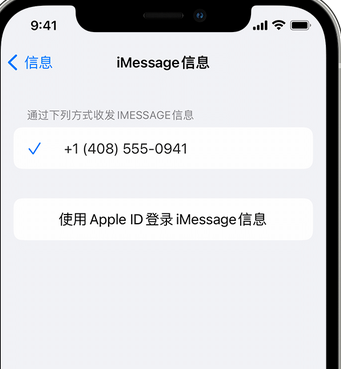 庄河apple维修iPhone上无法正常发送iMessage信息 