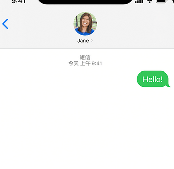 庄河apple维修iPhone上无法正常发送iMessage信息