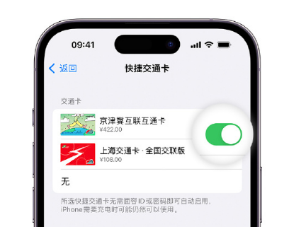 庄河apple维修点分享iPhone上更换Apple Pay快捷交通卡手绘卡面 