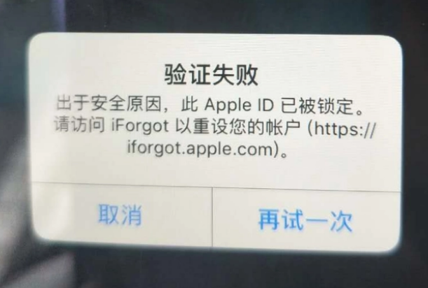 庄河iPhone维修分享iPhone上正常登录或使用AppleID怎么办 