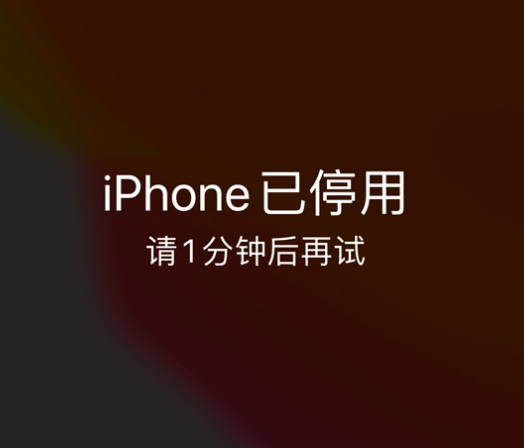 庄河苹果手机维修分享:iPhone 显示“不可用”或“已停用”怎么办？还能保留数据吗？ 