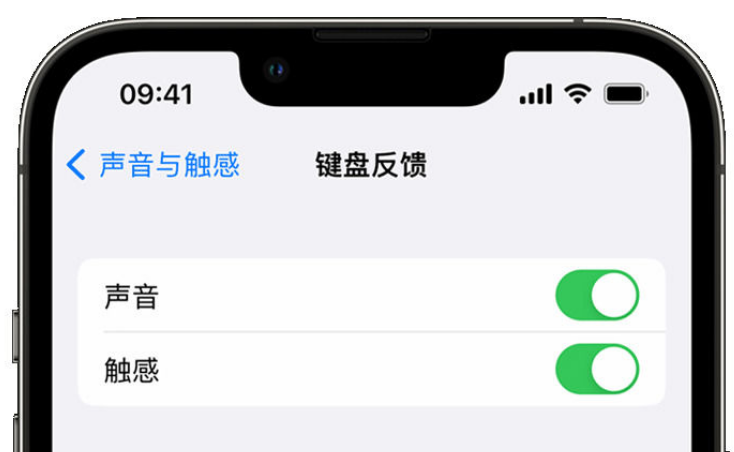 庄河苹果手机维修分享iPhone 14触感键盘使用方法 