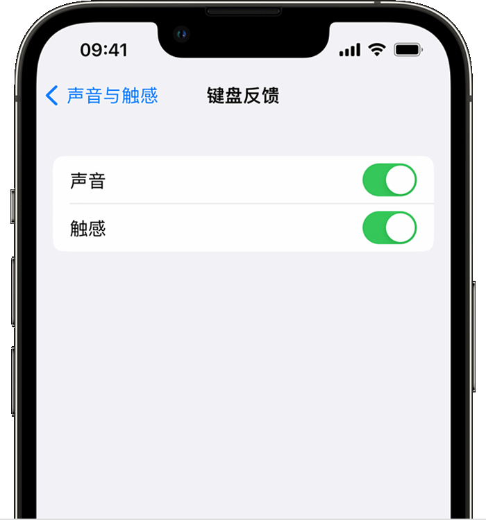 庄河苹果14维修店分享如何在 iPhone 14 机型中使用触感键盘 