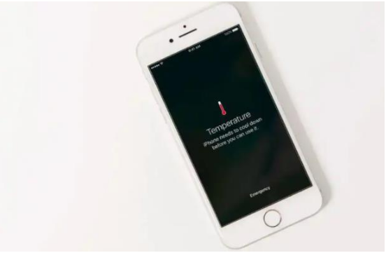 庄河苹果手机维修分享iPhone 手机发热如何快速降温 