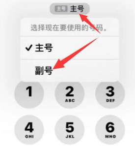 庄河苹果14维修店分享iPhone 14 Pro Max使用副卡打电话的方法 