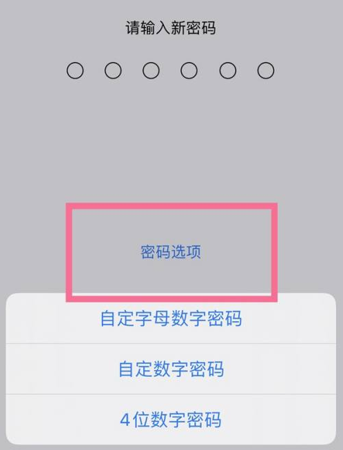 庄河苹果14维修分享iPhone 14plus设置密码的方法 