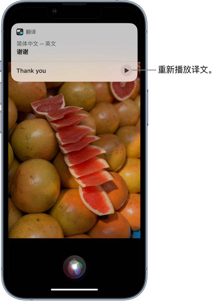 庄河苹果14维修分享 iPhone 14 机型中使用 Siri：了解 Siri 能帮你做什么 