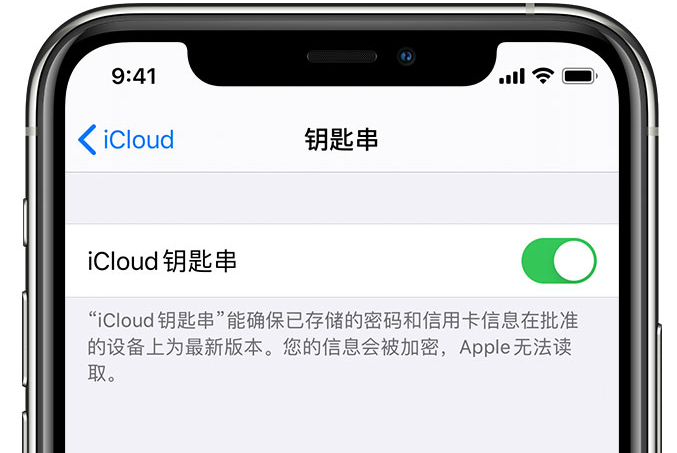 庄河苹果手机维修分享在 iPhone 上开启 iCloud 钥匙串之后会储存哪些信息 