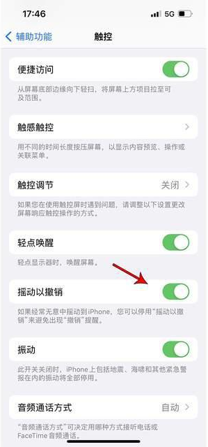 庄河苹果手机维修分享iPhone手机如何设置摇一摇删除文字 